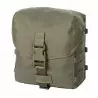 Direct Action® Ładownica molle CARGO POUCH® - Adaptive Green