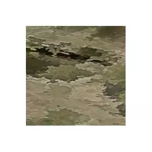 Wisport AIR FORCE 40...