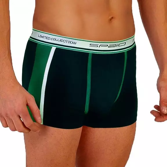 Spaio MEN's Boxers Shorts BMS 01 - Navy / Green