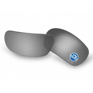 ESS® 5B® Ballistic Glasses