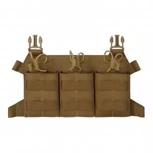 Direct Action Panel...